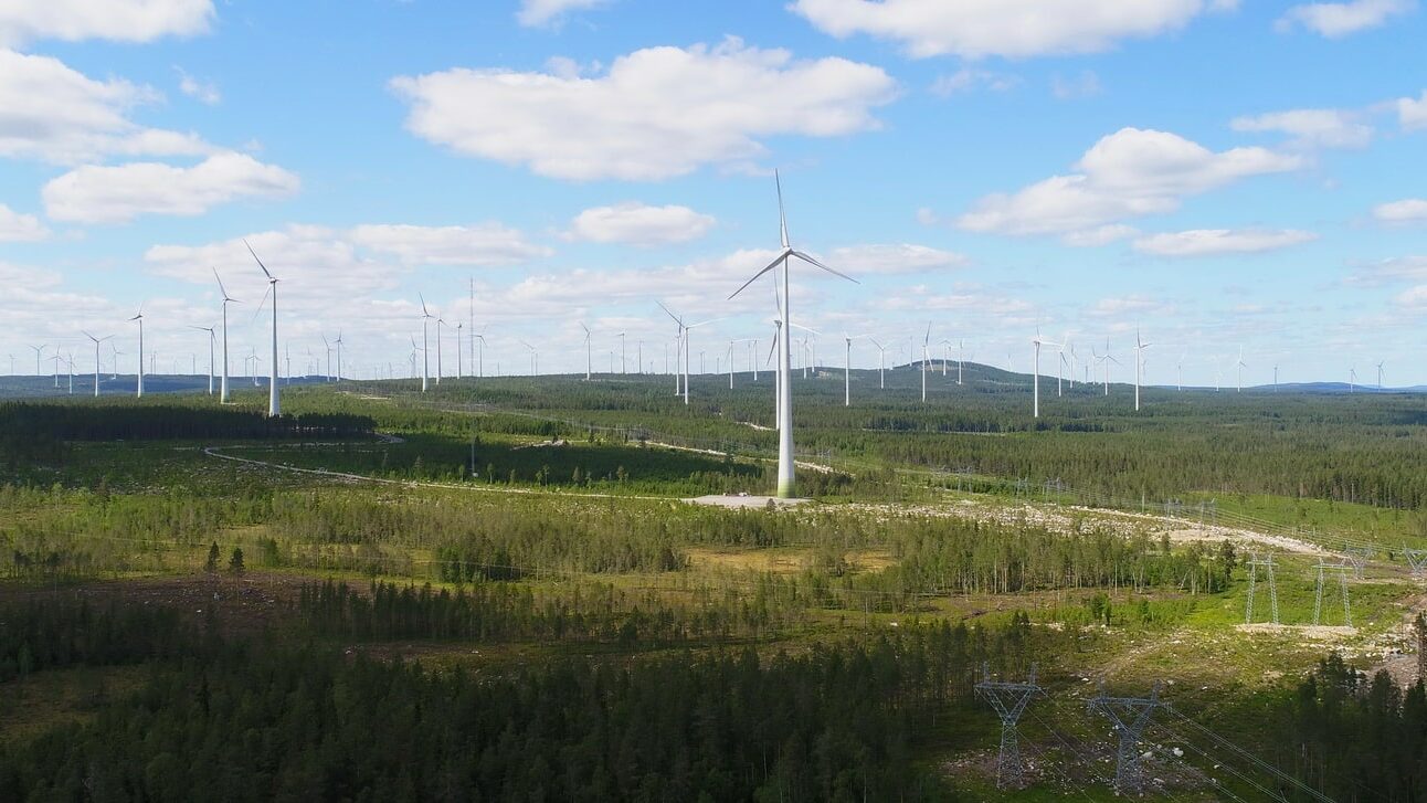 Vy över Markbygdens vindkraftpark med rader av vindturbiner mot en skogsbeklädd terräng och en klarblå himmel.
