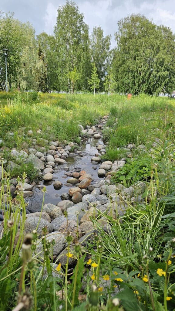 hoppstenar dagvattenlösning