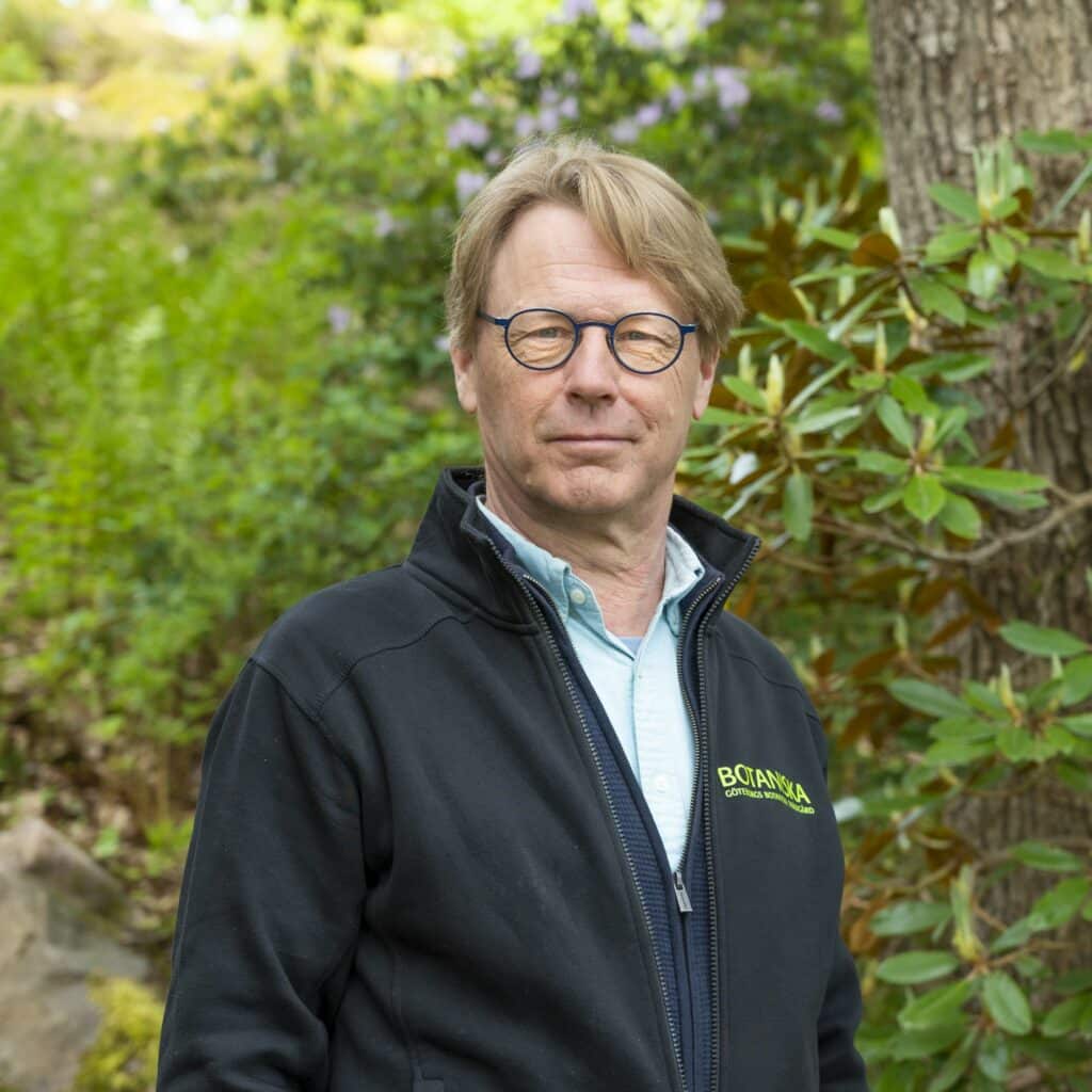 Mats Havström, Göteborgs botaniska trädgård, Arctic Botanic Garden Storklinten