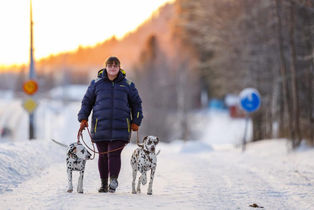 Catrine promenerar i vintermiljö med två dalmatiner