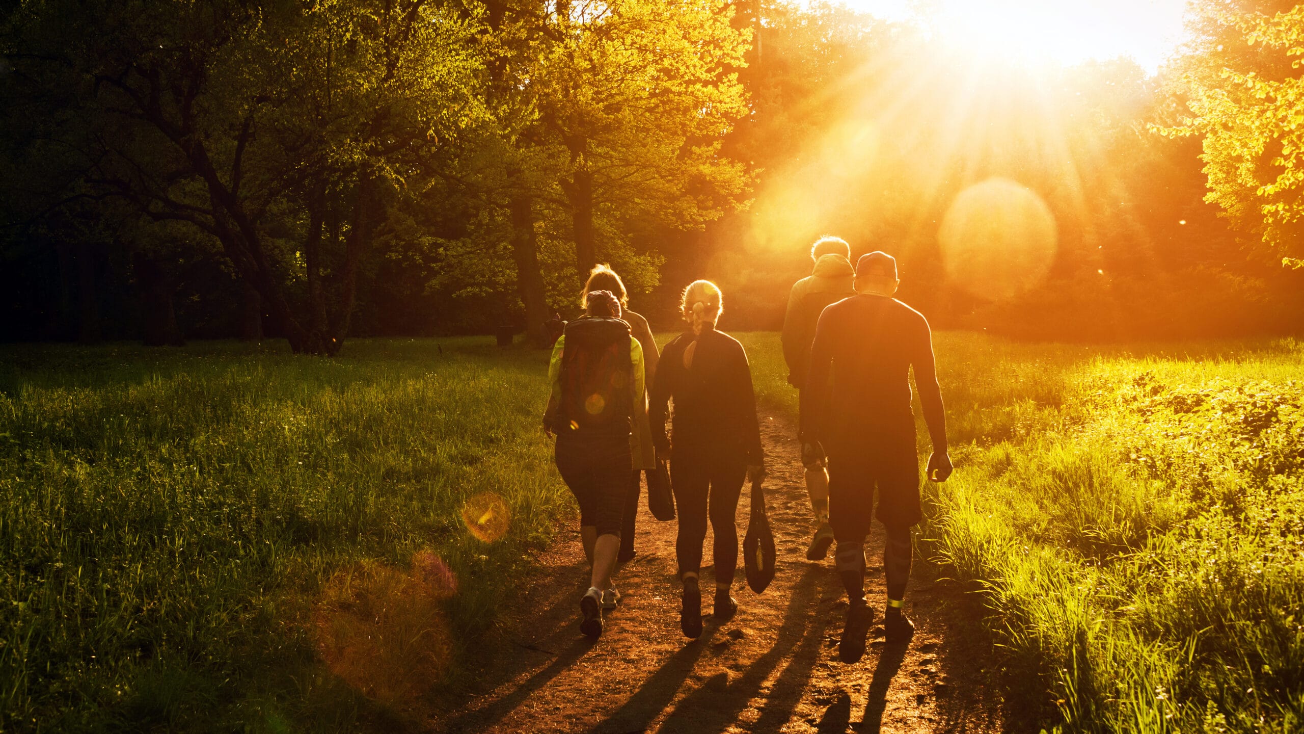 Flera personer promenerar ute i naturen
